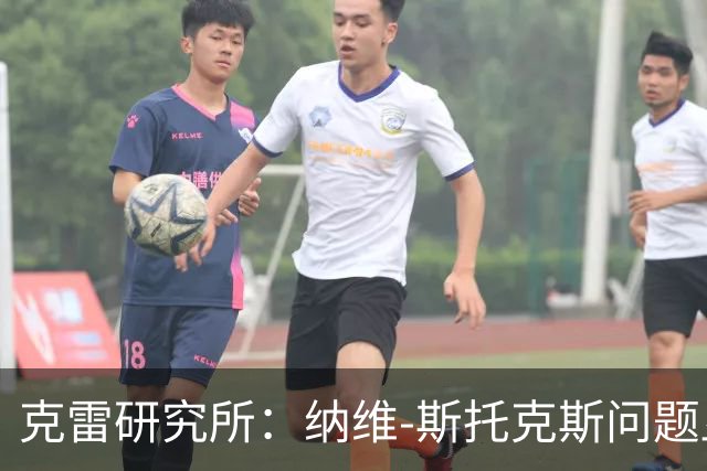 克雷研究所：纳维-斯托克斯问题"显然已被解决"